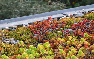 the cost of Swatragh green roof installation