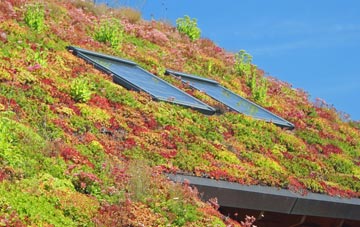 Swatragh living roof systems