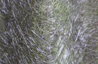 Swatragh fibreglass roof work